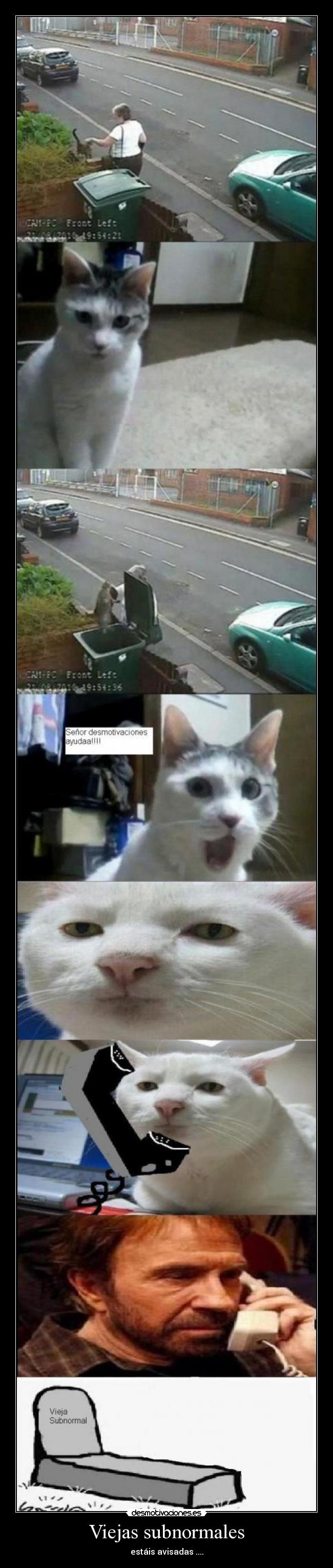 Viejas subnormales -