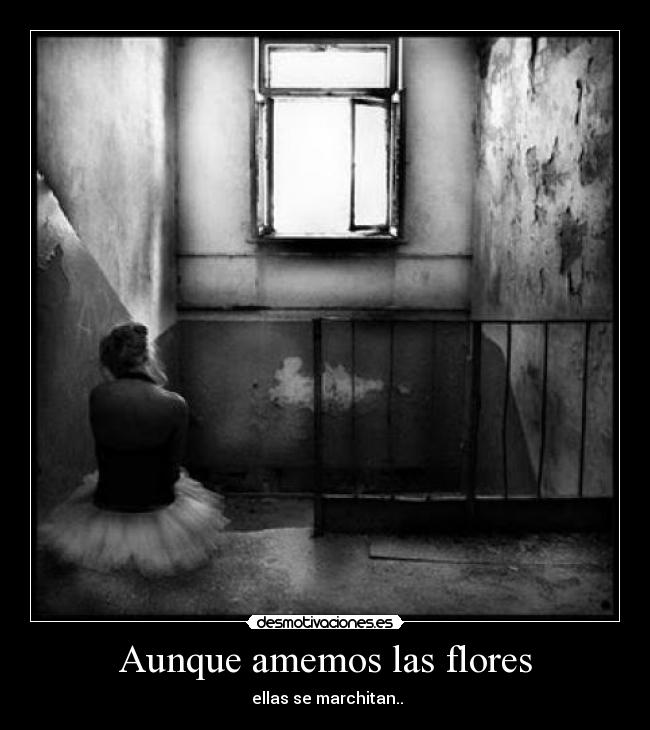 Aunque amemos las flores - ellas se marchitan..