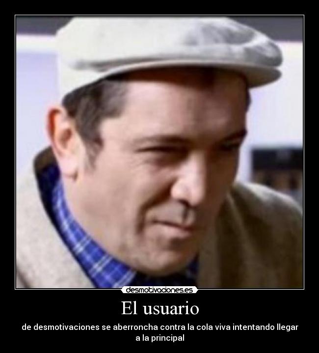 El usuario - 