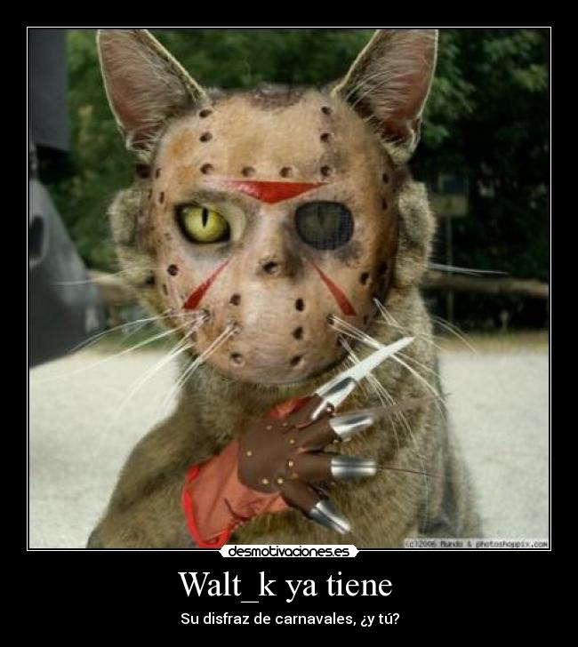 Walt_k ya tiene -