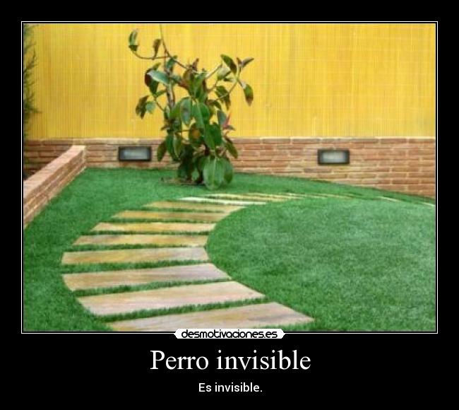 Perro invisible - 