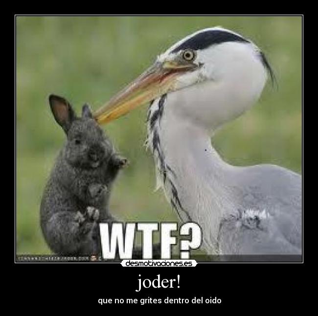 joder! - que no me grites dentro del oido