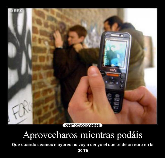 Aprovecharos mientras podáis -