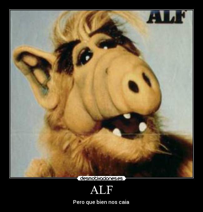 ALF -