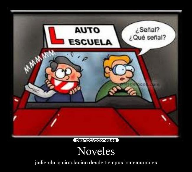 Noveles - 