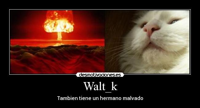 Walt_k -