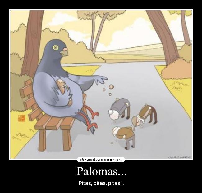 Palomas... - Pitas, pitas, pitas...