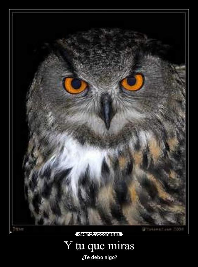 Y tu que miras - ¿Te debo algo?