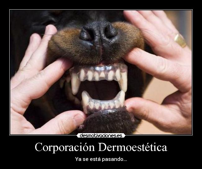 carteles corporacion dermoestetica perro dientes desmotivaciones