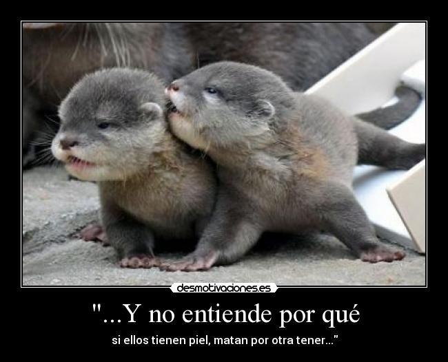 ...Y no entiende por qué -