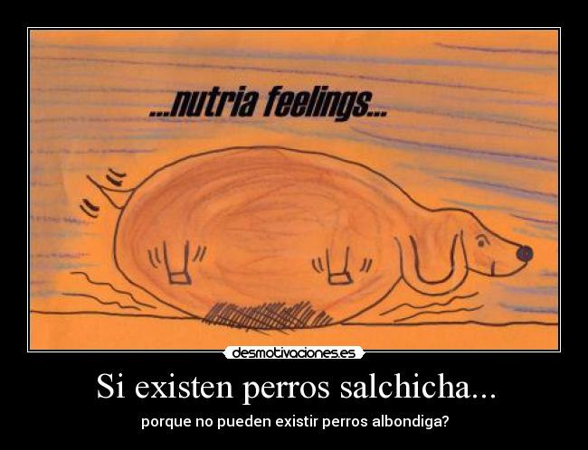 Si existen perros salchicha... - porque no pueden existir perros albondiga?