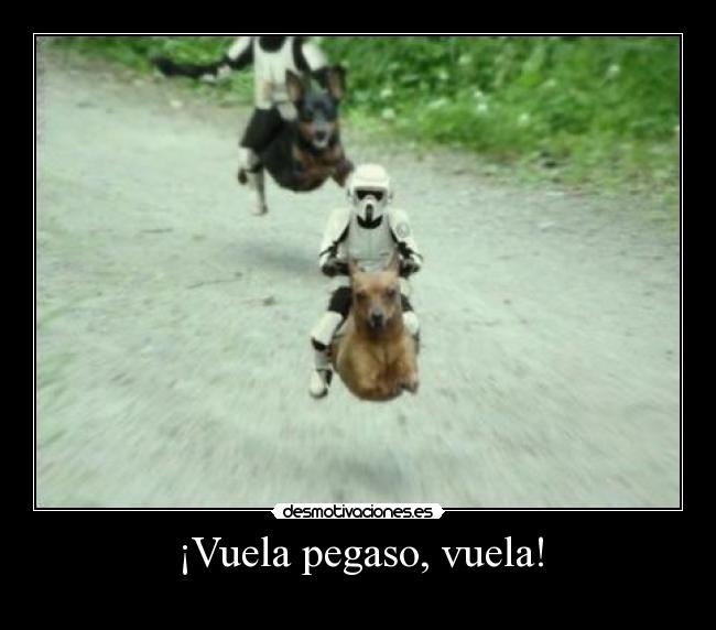 ¡Vuela pegaso, vuela! - 