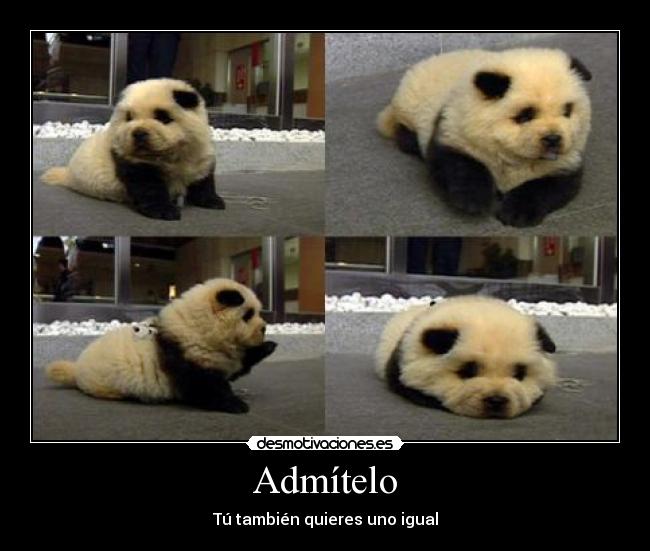 Admítelo - Tú también quieres uno igual