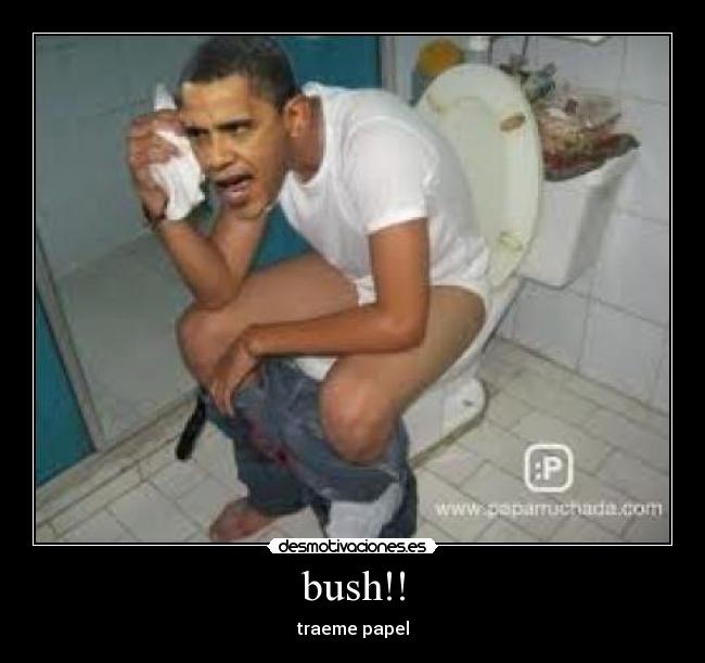 bush!! -