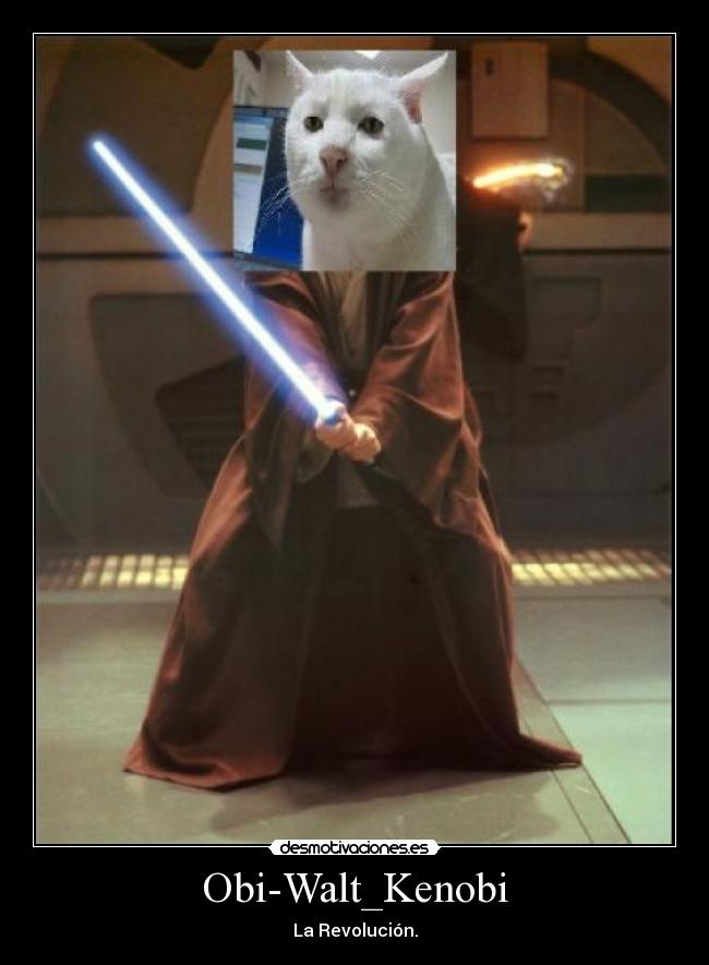 Obi-Walt_Kenobi -