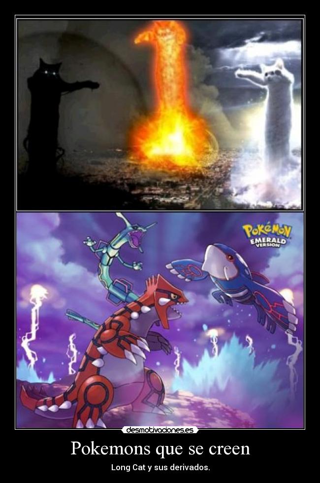 carteles long cat sus derivados pokemon desmotivaciones