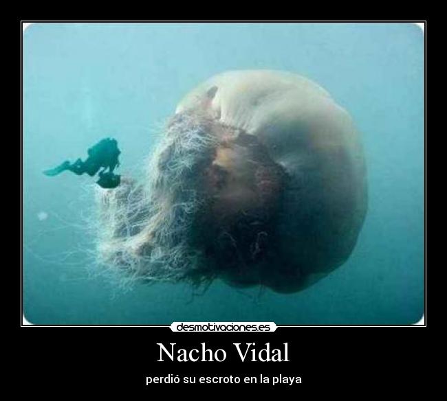 Nacho Vidal - 