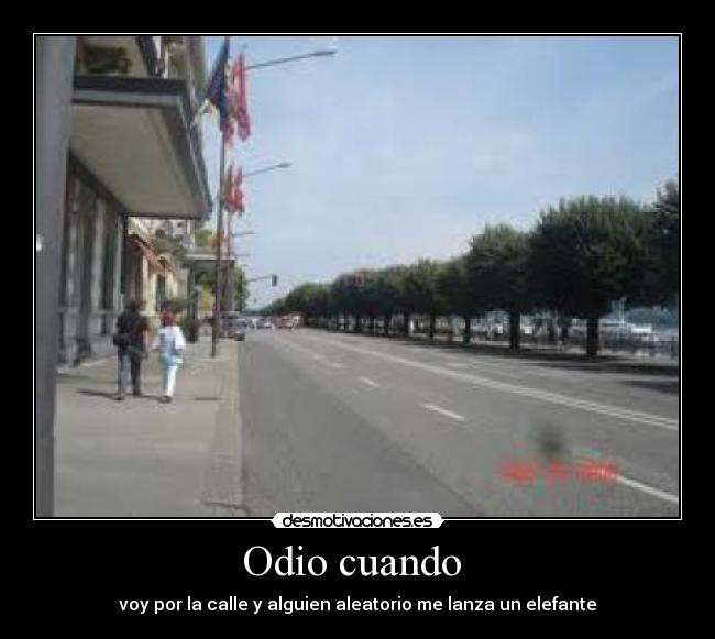 Odio cuando - voy por la calle y alguien aleatorio me lanza un elefante