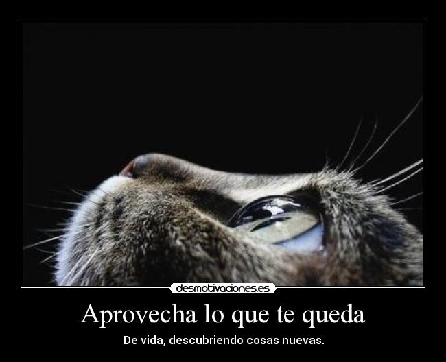 Aprovecha lo que te queda -