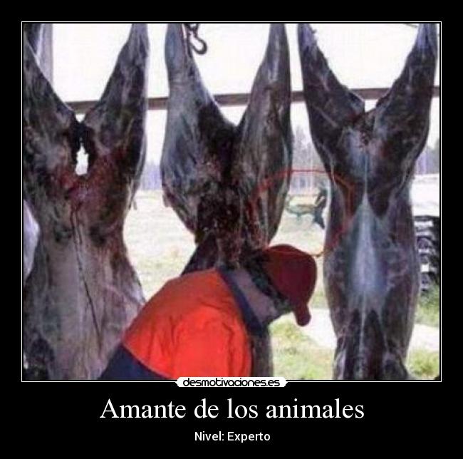 Amante de los animales - 