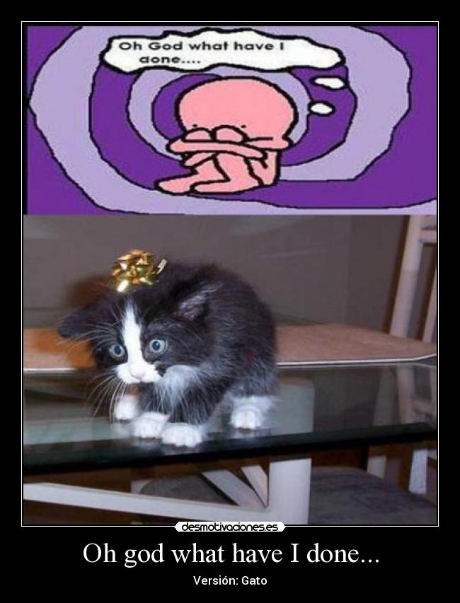 carteles god what have done version gato desmotivaciones
