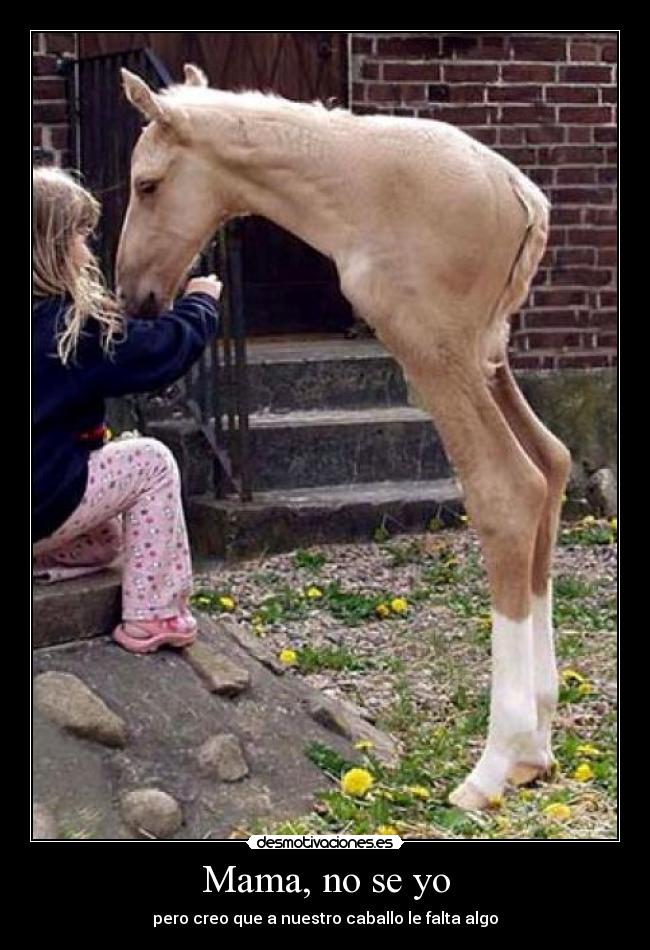 carteles humor desmotivaciones