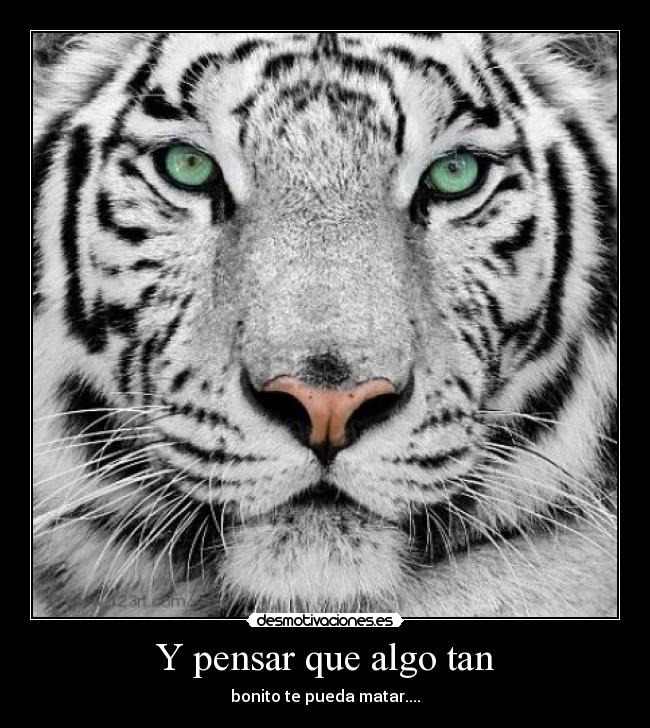 carteles alexics desmotivaciones