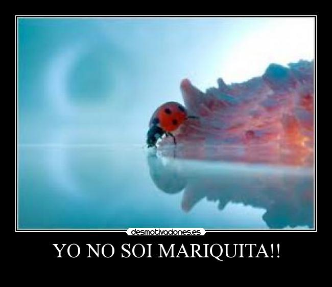 YO NO SOI MARIQUITA!! -