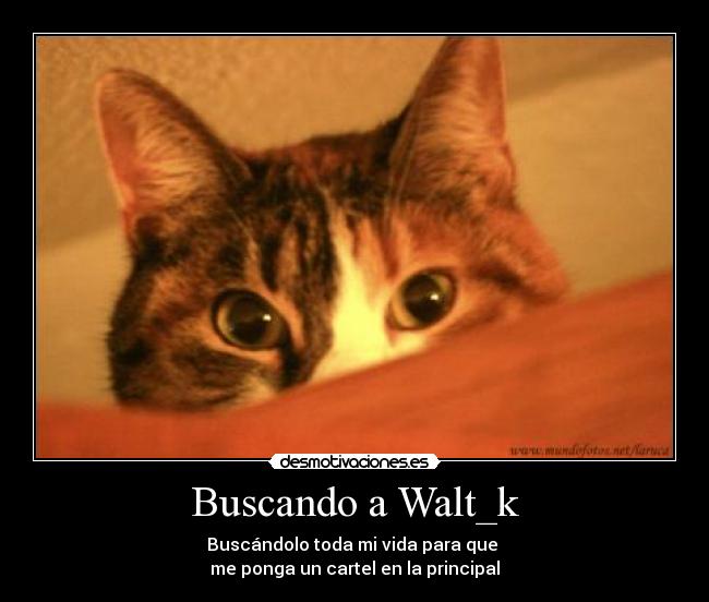 Buscando a Walt_k - 