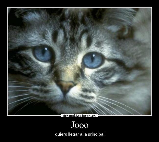 Jooo - quiero llegar a la principal