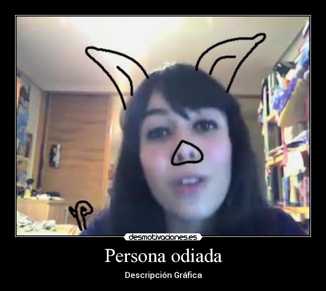 Persona odiada - Descripción Gráfica