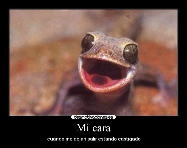 Mi cara - 