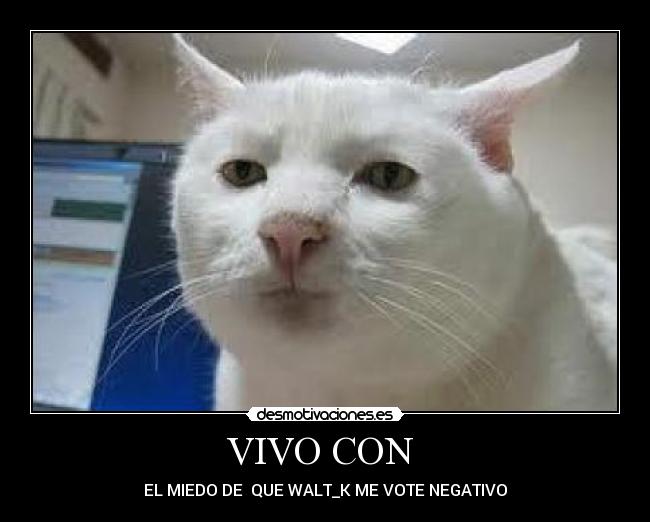 VIVO CON -