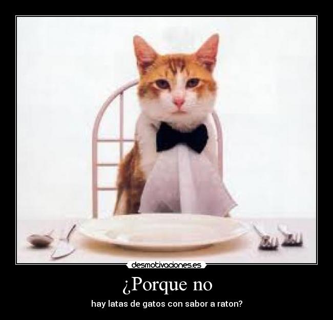 ¿Porque no - 