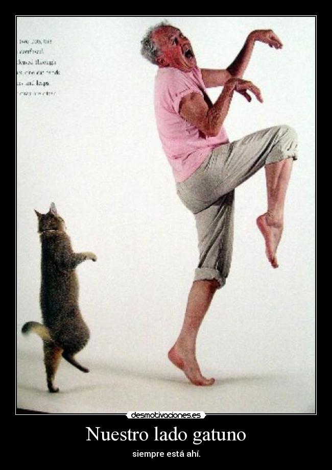 Nuestro lado gatuno - siempre está ahí.