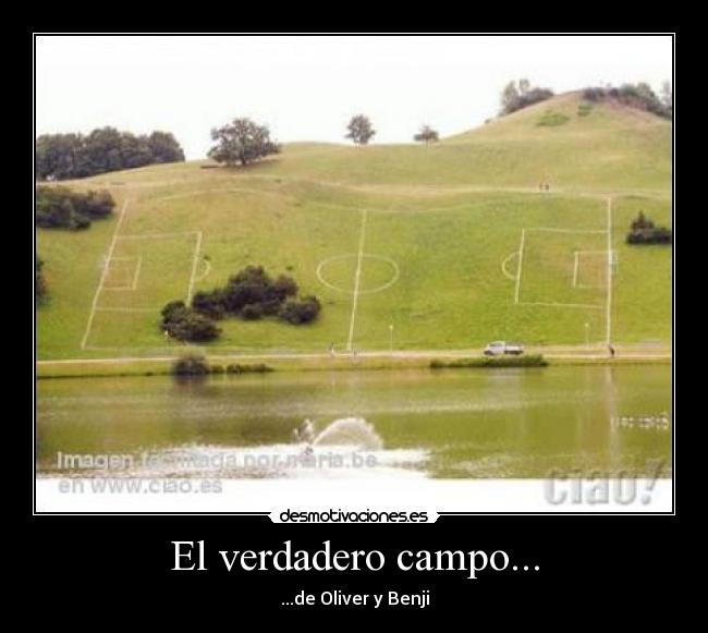 El verdadero campo... -