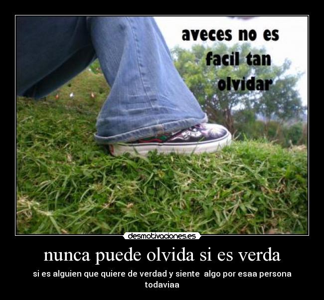 carteles verdaa desmotivaciones