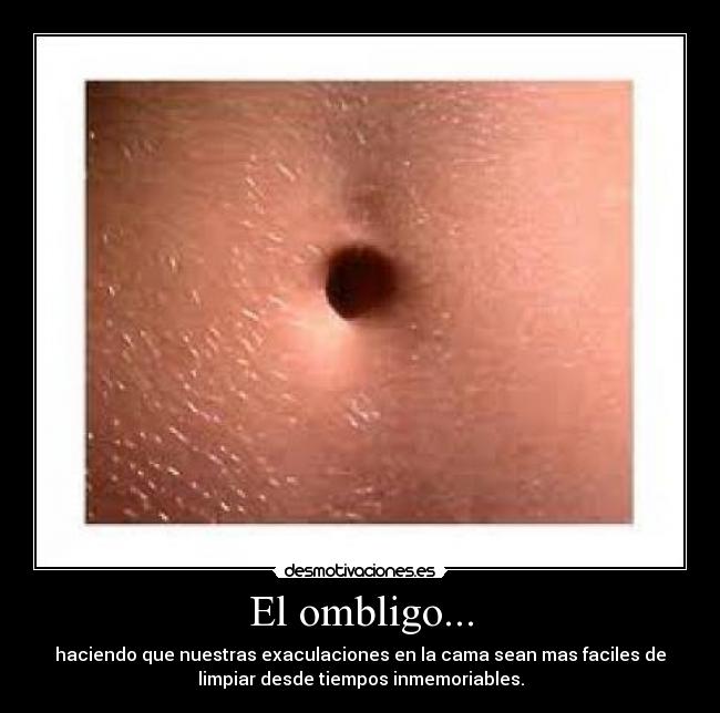 El ombligo... | Desmotivaciones