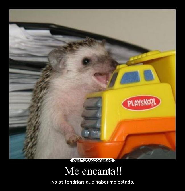 Me encanta!! -