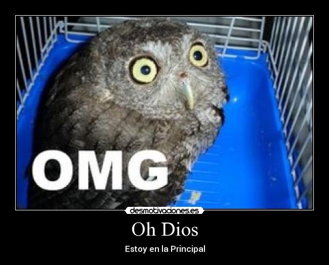 Oh Dios - Estoy en la Principal
