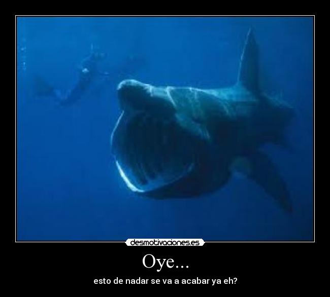 Oye... - esto de nadar se va a acabar ya eh?
