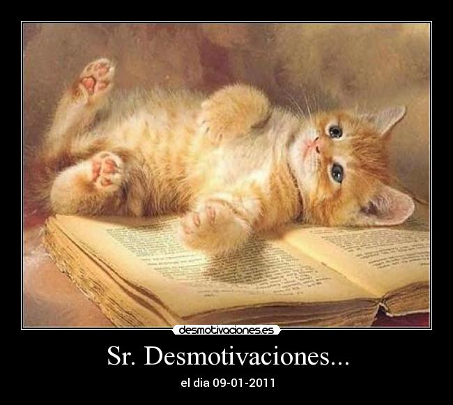 Sr. Desmotivaciones... - 