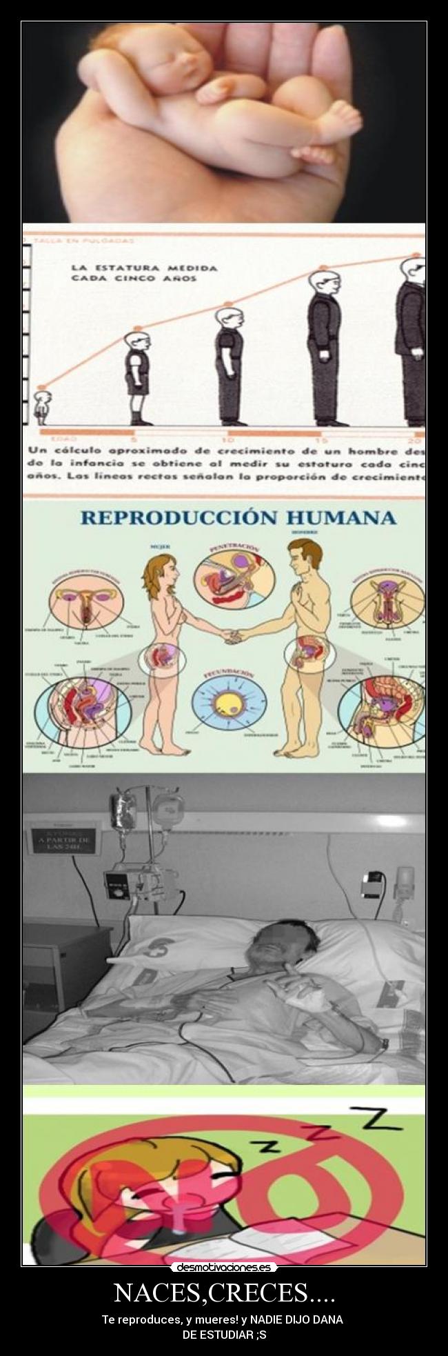 NACES,CRECES.... - Te reproduces, y mueres! y NADIE DIJO DANA
DE ESTUDIAR ;S