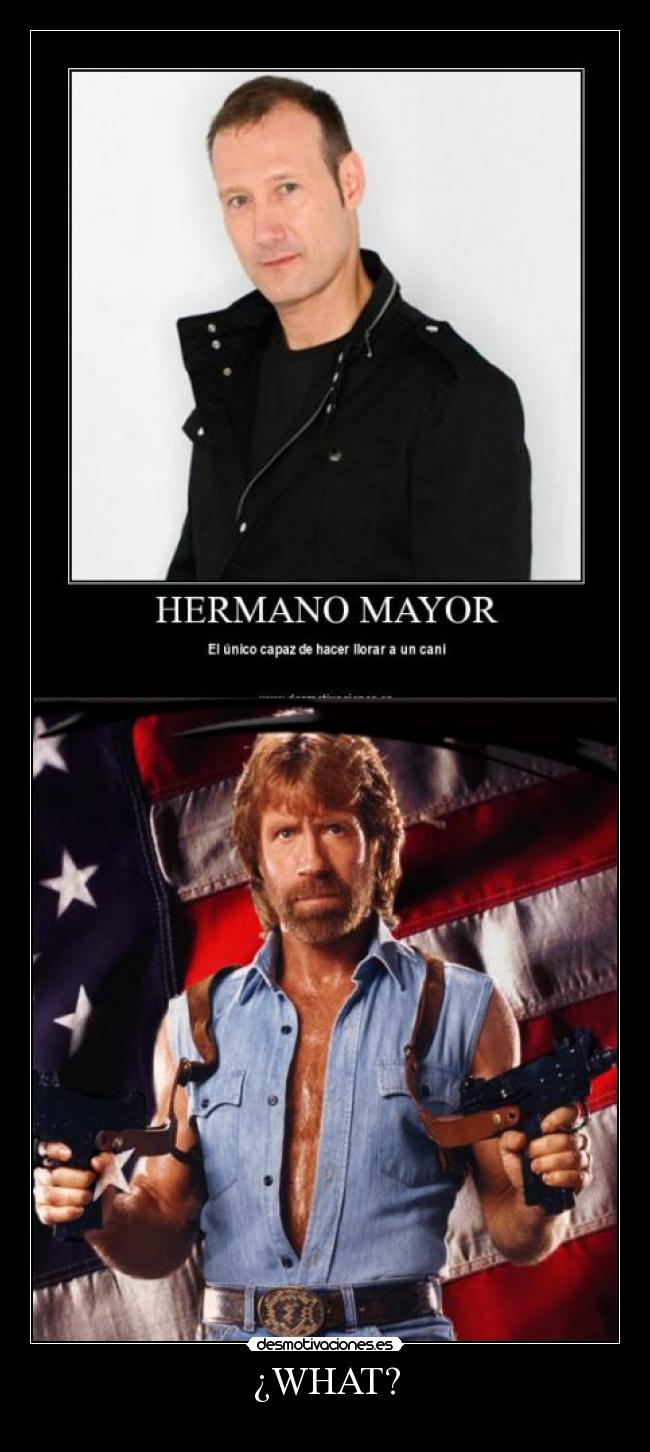 carteles chuck norris desmotivaciones