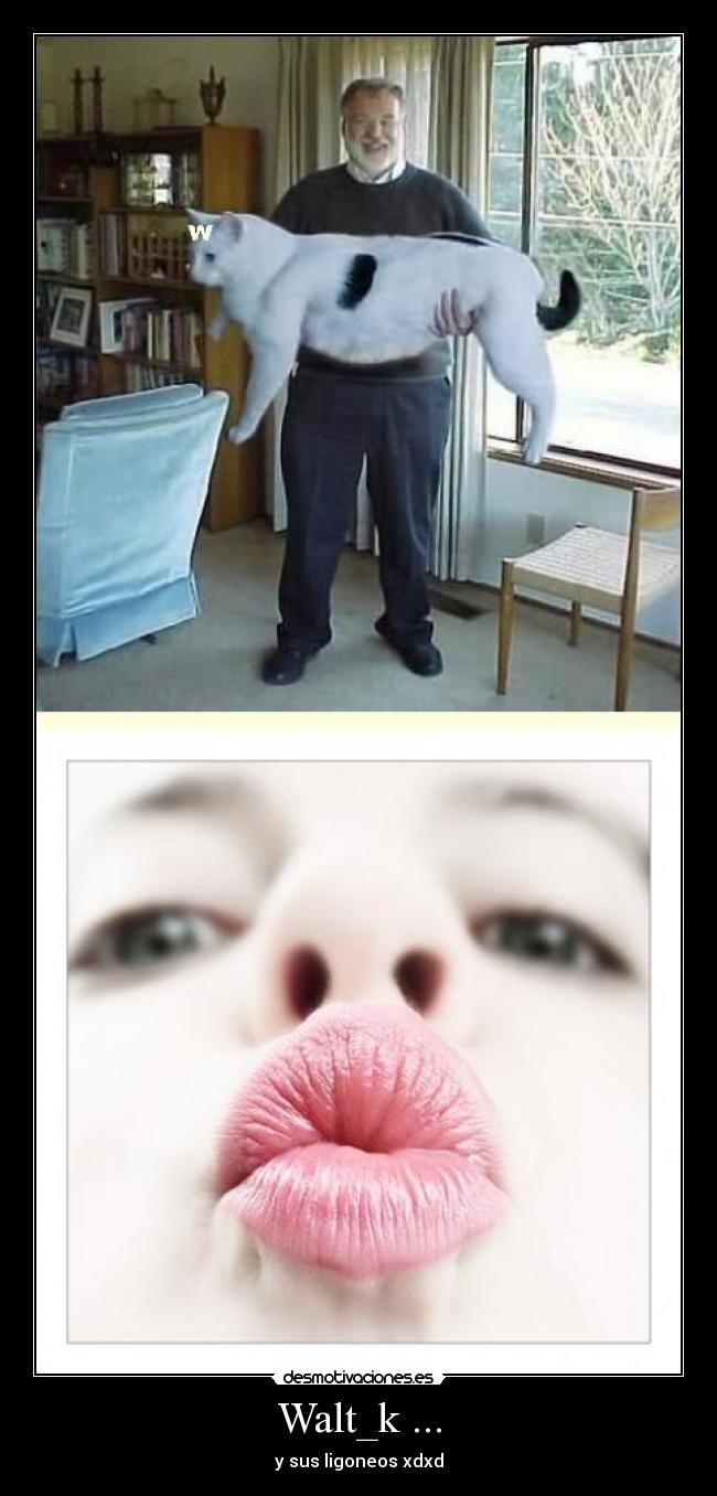 Walt_k ... - y sus ligoneos xdxd