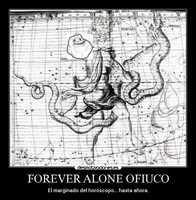 FOREVER ALONE OFIUCO -