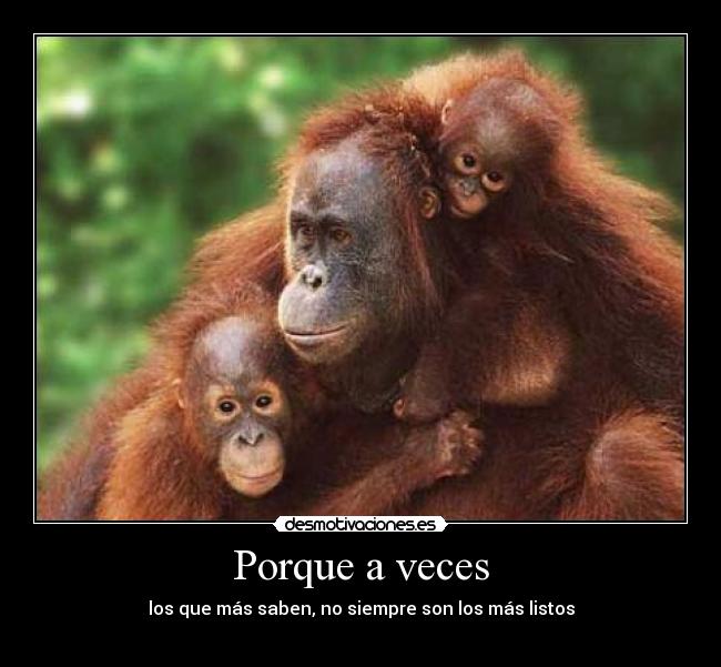 carteles alguiensinnombre desmotivaciones