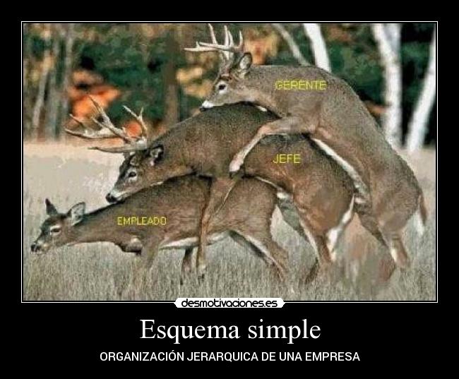 Esquema simple - ORGANIZACIÓN JERARQUICA DE UNA EMPRESA