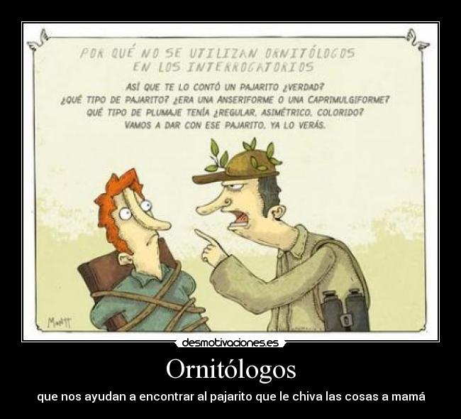 Ornitólogos - 