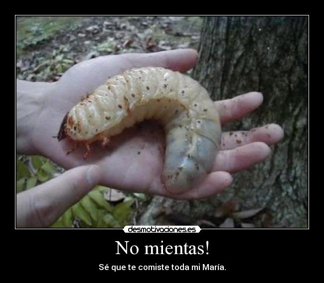 carteles humor desmotivaciones